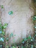 image number 1964